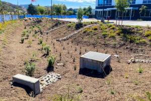 All Your Questions About Bioretention Systems Answered