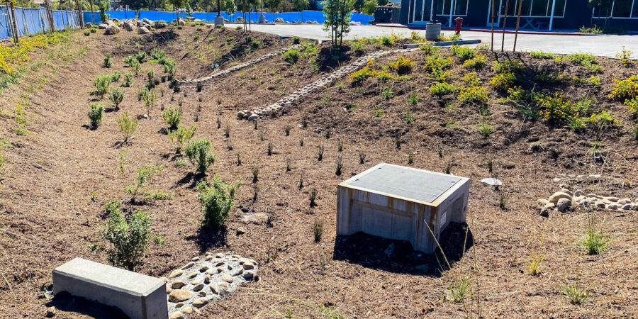 All Your Questions About Bioretention Systems Answered