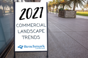 2021 Commercial Landscaping Trends