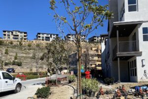 8 Factors that Affect Enhancement & Renovation Projects