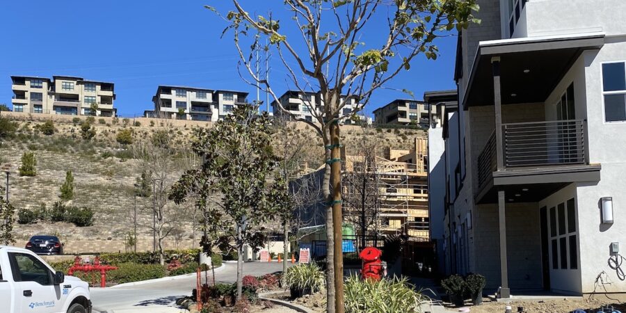 8 Factors that Affect Enhancement & Renovation Projects