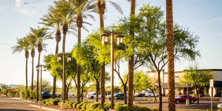 Celebrating National Lawn Care Month: The Benefits of a Healthy Landscape