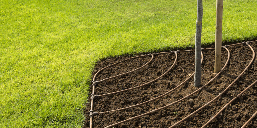 Summer Landscape Maintenance: How to Conserve Water and Keep Water Costs Down in Hotter Temperatures