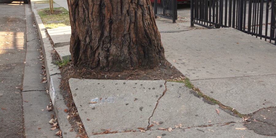 Top 8 Things NOT to do in Commercial Landscape